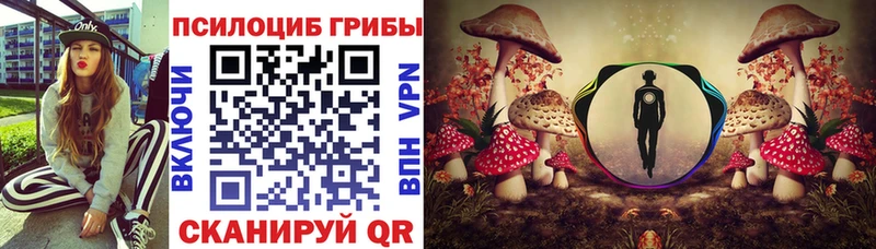 наркота мега ссылки маркетплейс формула Киреевск Псилоцибиновые грибы Psilocybe